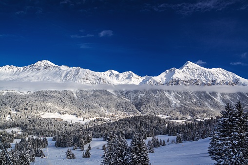 A beautiful scene of fir trees and high mountains under a blue sky in Lenzerheide resort, Swiss Alps