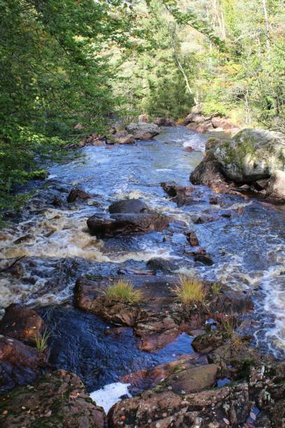 istock Water stream of danska Fall Nature reserve with greenery, rocks and sunlight 1433345470