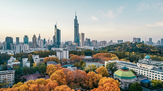 A drone view of the Zifeng Tower in Nanjing, Jiangsu, China in autumn with colorful trees and cityscape