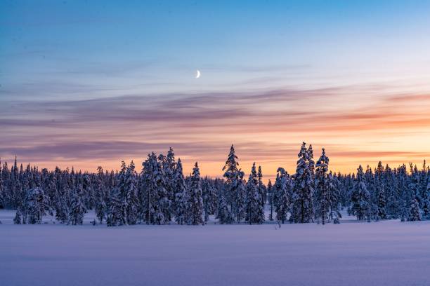 istock A forest fully covered with snow after snowstorm during the sunset 1433349146
