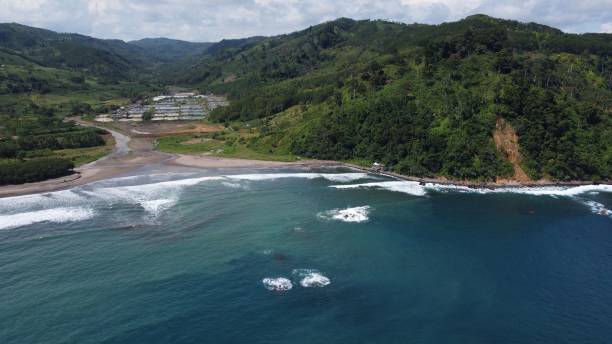 istock Bird's eye view of Jolosutro beach covered with greenery on Java island 1433349365