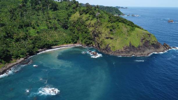 istock Bird's eye view of Jolosutro beach covered with greenery on Java island 1433349368