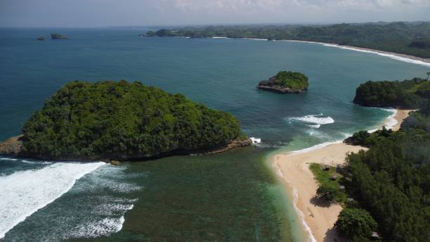 istock Bird's eye view of Tanjung Penyu Mas beach covered with greenery on Java island 1433349369