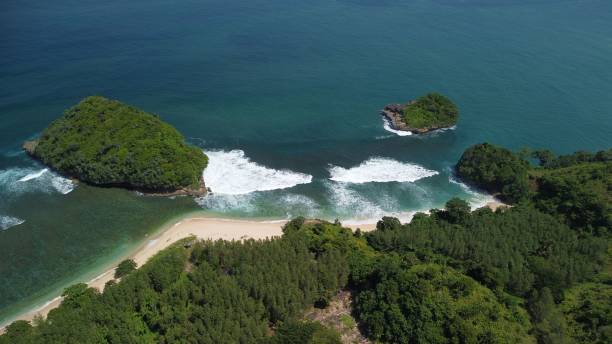 istock Bird's eye view of Tanjung Penyu Mas beach covered with greenery on Java island 1433349373