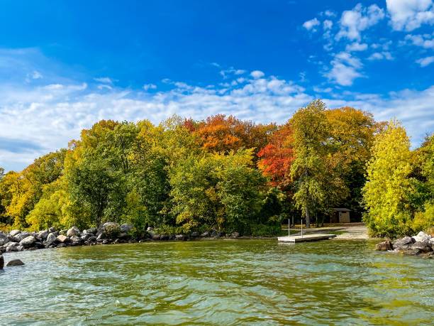 vue naturelle de stony point leech lake et de la forêt automnale du minnesota, états-unis sous un ciel dégagé - leech photos et images de collection