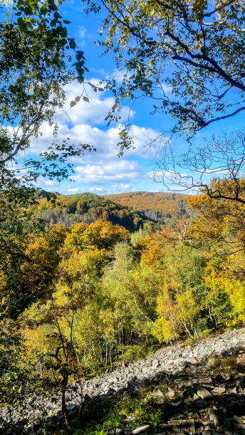 Beautiful view of autumn nature from mountain Klíč in Lusatian mountains. Czech Republic. Beautiful view of autumn nature from mountain Klíč in Lusatian mountains. Czech Republic. czech republic mountains stock pictures, royalty-free photos & images