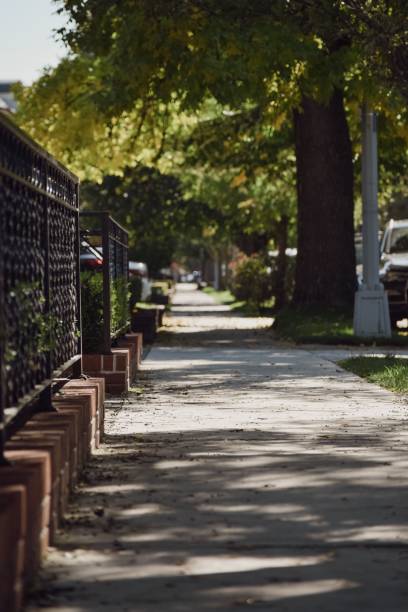 istock Vertical of an empty pedestrian walkway next to trees 1433352960