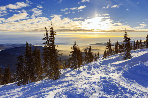 wintertannen auf dem gipfel des berges, blick auf die natur mit blauem bewölktem himmel und weißem schnee. natürliche winterlandschaft im skigebiet sheregesh in russland, sibirien. panoramablick auf den wald auf dem berg. - 6645 stock-fotos und bilder