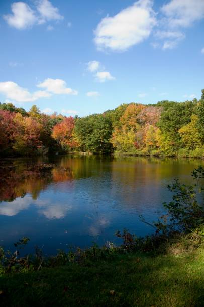 istock Mesmerizing view of a colorful fall forest and lake 1433355341