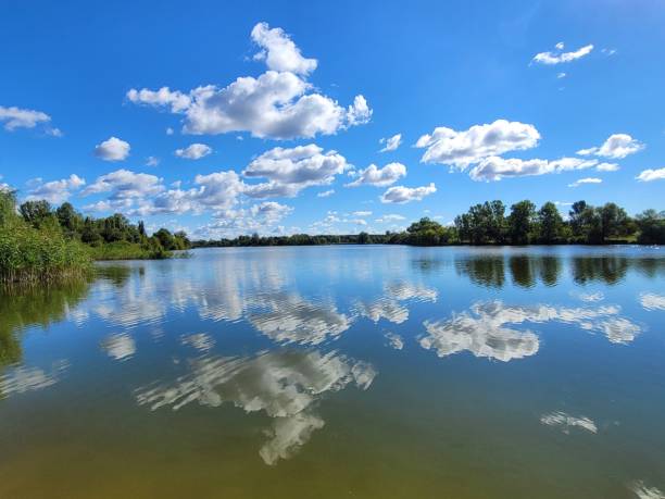 istock Reflection of clouds and green trees on the lake 1433355352