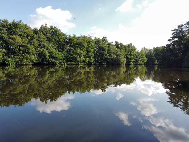 istock Reflection of clouds and green trees on the lake 1433355355
