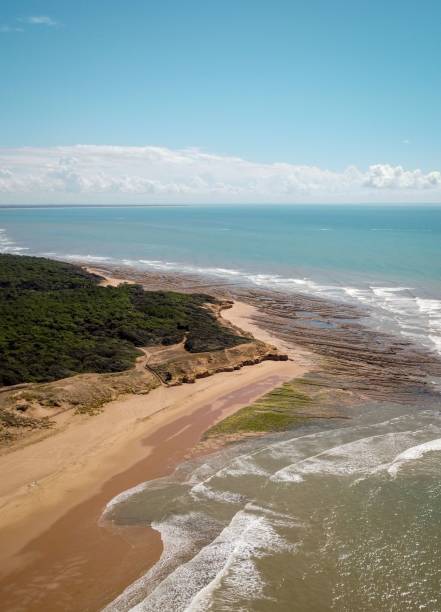 istock Vertical shot of a beautiful coastline on a bright sunny day 1433355361