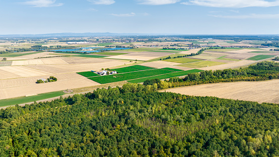 Aerial view over Hessian Ried