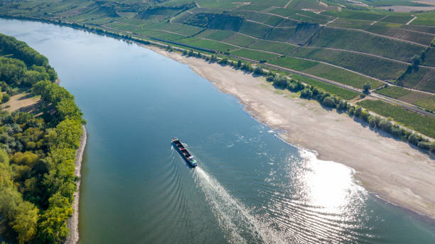 Mainz, Germany - June 19, 2025: Barges navigating the calm waters of the Rhine River in Mainz, Germany, surrounded by vibrant green trees under a clear blue sky.