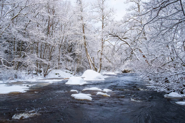 istock Beautiful winter landscape by a river 1433359271
