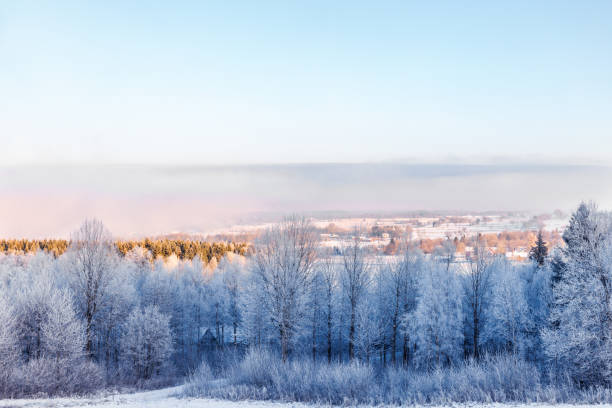 istock Forest with hoarfrost on a cold winter morning 1433359323