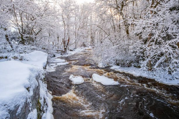 istock Rapid river in a beautiful winter woodland 1433359526