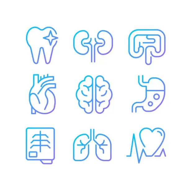 Vector illustration of Organs regular checkup pixel perfect gradient linear vector icons set