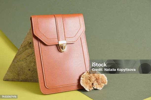 Louis Vuitton Bag Stock Photo - Download Image Now - Louis Vuitton -  Designer Label, Purse, Brown - iStock