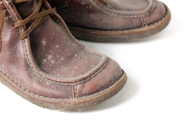 istock Fungus on brown leather boots shoes isolated on white 1433370448
