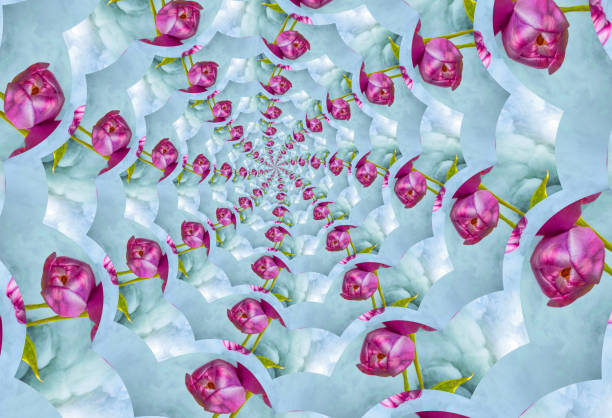 istock The Red Tulip Tunnel 1433371601
