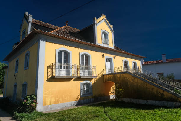 una grande bella vecchia casa in un piccolo villaggio in portogallo. case in pietra tipiche rustiche su un villaggio su una regione agricola vicino ad aveiro - improvement ancient antique old fashioned foto e immagini stock