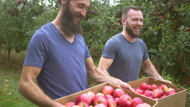 Close Up View Of Male Farmers Smiling While Holding Boxes Full With Apples