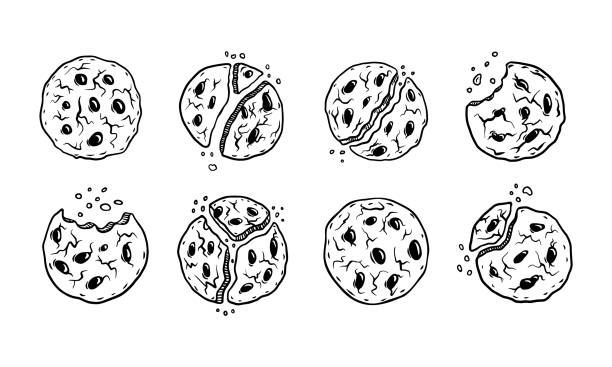 zestaw ręcznie rysowanych ciasteczek - biscuit cookie cracker missing bite stock illustrations