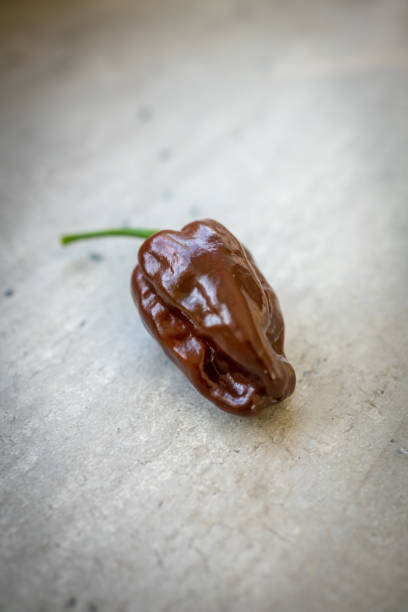 Habanero Hot Chocolate also known as Black Congo