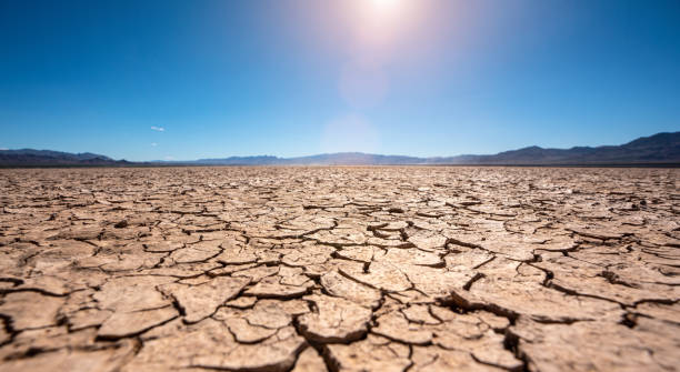 istock drought cracked landscape, dead land due to water shortage 1433386397