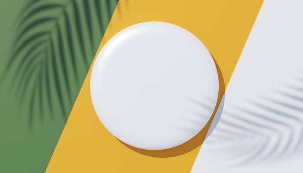 istock 3d render top view of white blank cylinder frame for mock up and display products with shadows of palm leaves, earth tone, or pastel wall background. Creative idea concept. Widow shadow. 1433387056