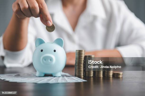 Saving Investment Banking Finance Concept Stack Of Coins With Piggy Bank On The Table Growth Of Loan And Investment Business Idea Asset Management Funds Liabilities Deposits Income Successful Stock Photo - Download Image Now