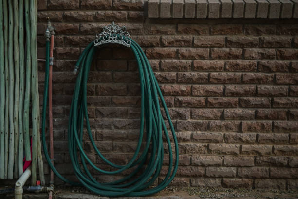 Green rubber garden hose with nozzle outdoor