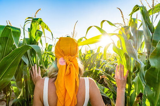 Back view of young woman walking through organic green corn fields. Nature lover. Summer vibes. Healthy food.
