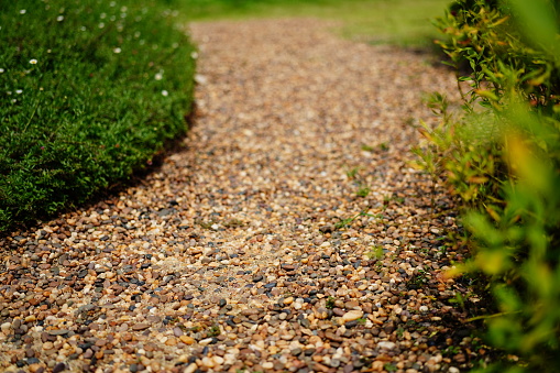 Close-up Stone footpath on in garden