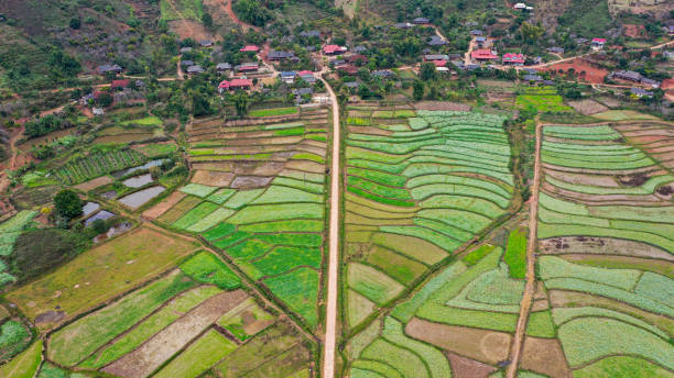Rice terrace of Muong Sang, Moc Chau stock photo
