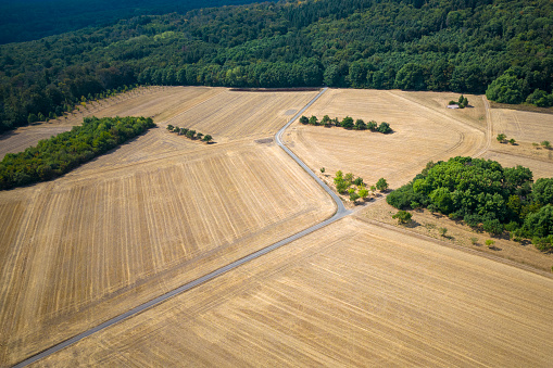Harvested fields and trees - aerial view