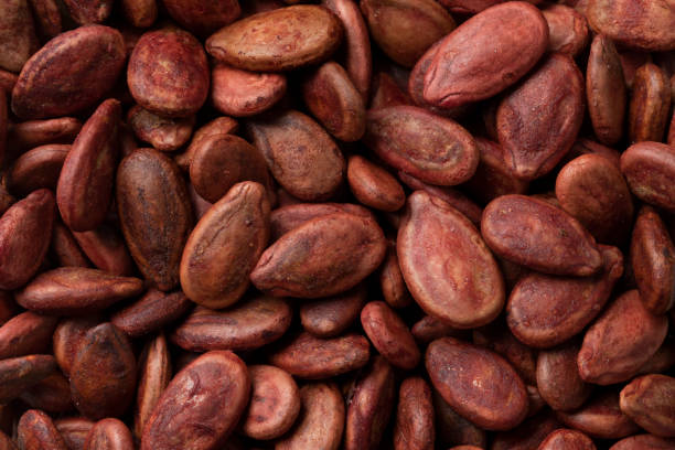 istock Dried watermelon seeds close up full frame 1433392165