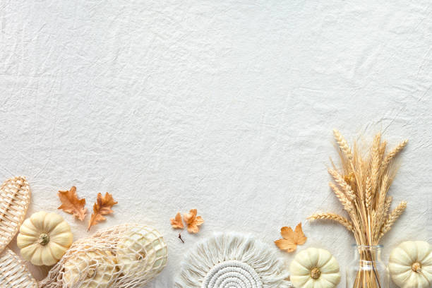 istock Off white textile background with decorative border. Pumpkins in net bag, dry leaves, macrame pads, straw fans, wheat ears. Copy-space, place for text. 1433392494