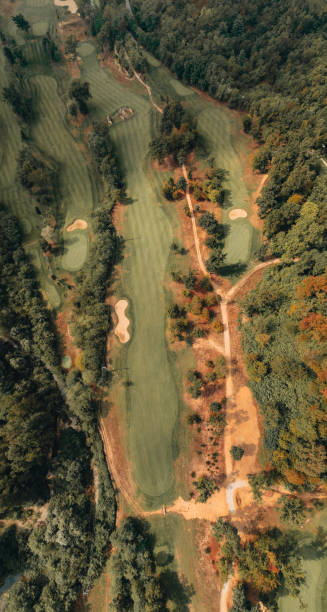 istock Vertical aerial view of golf fields 1433392613