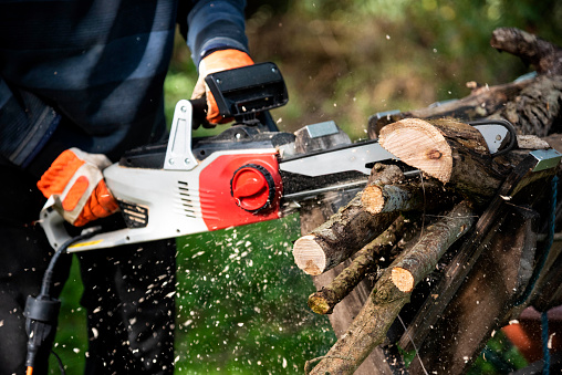 Tree surgeon man, cutting wood using an electrical chainsaw. The wood is being cut on a Log Saw Horses. The wood cutting is taking place in a woodland with trees in the background.