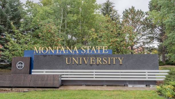 signe de l’université d’état du montana - fall semester photos et images de collection