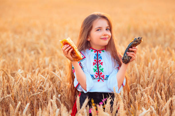 garota búlgara, linda mulher, comendo banitsa recém-assada, torta de queijo durante a colheita no campo de trigo dourado - bread food baked 7 grain bread - fotografias e filmes do acervo