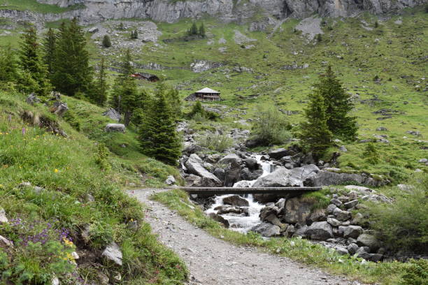istock Oeschinen Lake 1433399746
