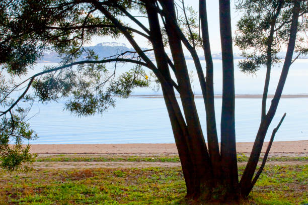 istock Coroso beach, Ribeira, Galicia, Spain. 1433400129