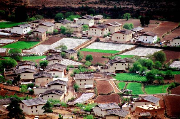 istock Tibetan village and fields in May 1433401013
