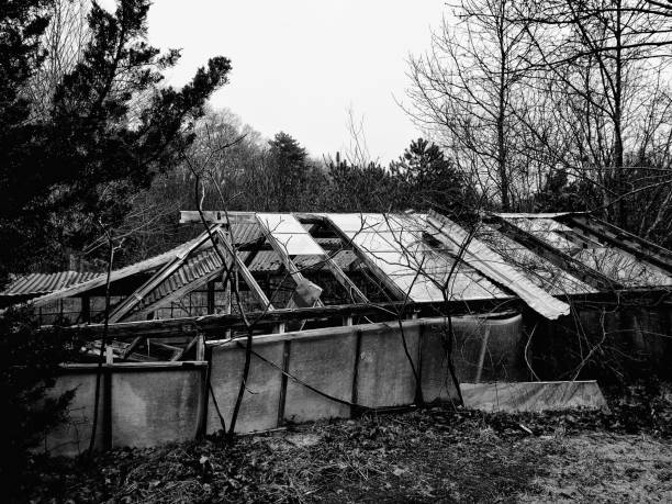 Decrepit and ruined remains of what was once a greenhouse. Turned around and pulled over for this one... ;)