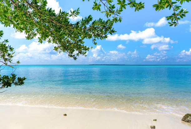 istock Beautiful Beach in Maldives 1433402769