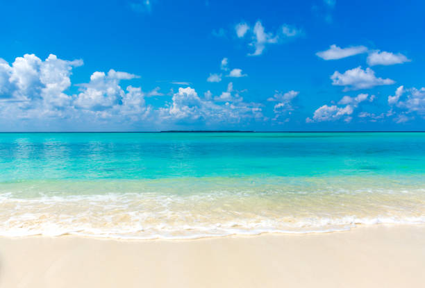istock Beautiful Nature beach in Maldives 1433403033