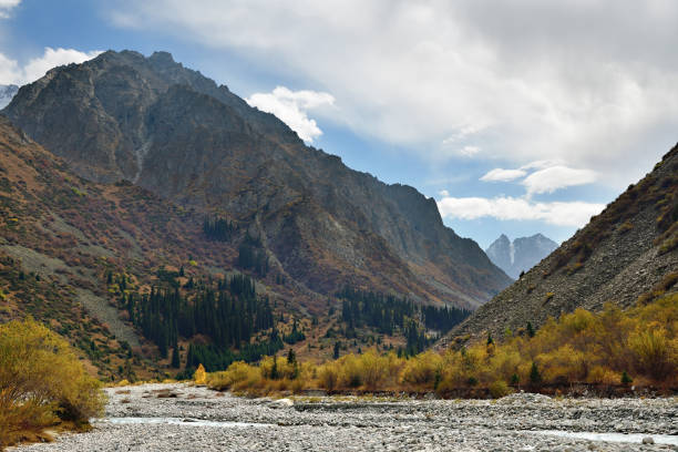 Ak Sai valley autumn landscape. River, stone run, Tian Shan fir trees and view on high snow covered peaks of  Tian Shan mountains.  Ala Archa national park, Kyrgyzstan